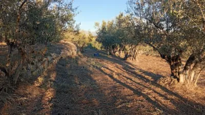 Rustic Finca in Villanueva de La Vera photo 7