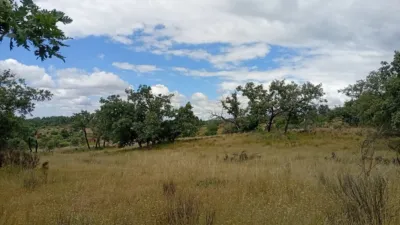 Rustic finca in Villanueva de La Vera photo 5