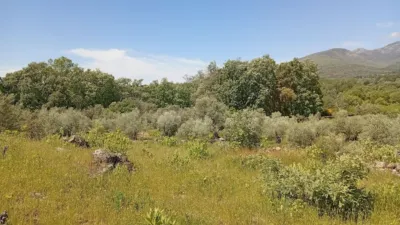 Rustic finca in Villanueva de La Vera photo 120