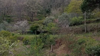 Rustic Finca in Valverde de La Vera photo 65
