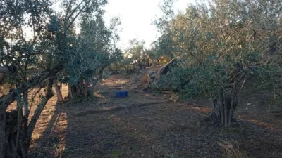 Rustic Finca in Villanueva de La Vera photo 39