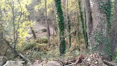 Rustic Finca in Viandar de La Vera photo 15