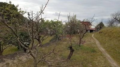 Rustic Finca in Villanueva de La Vera photo 56