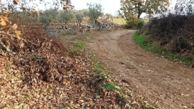 Rustic Finca in Viandar de La Vera photo 10