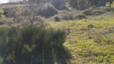 Rustic finca in Viandar de La Vera photo 22