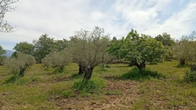 Rustic finca in Villanueva de La Vera photo 49
