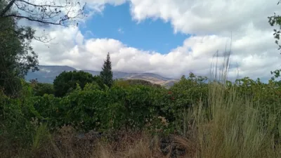 Rustic Finca in Villanueva de La Vera photo 36
