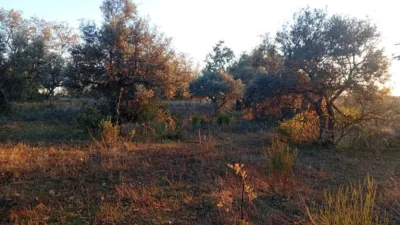 Rustic farm in Viandar de La Vera photo 8
