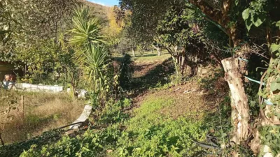 Rustic finca in Villanueva de La Vera photo 37