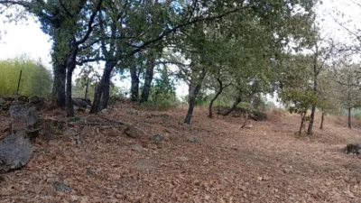 Rustic Finca in Villanueva de La Vera photo 115