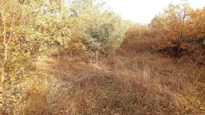 Rustic farm in Viandar de La Vera photo 31