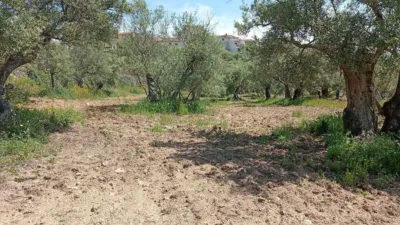 Rustic Finca in Villanueva de La Vera photo 61
