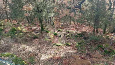 Rustic Finca in Villanueva de La Vera photo 18