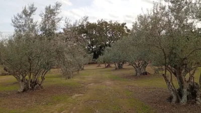 Rustic finca in Villanueva de La Vera photo 25