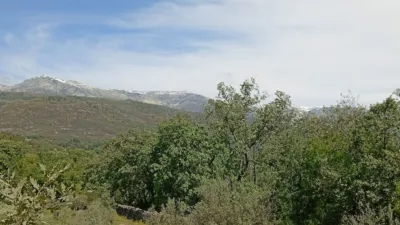 Rustic finca in Villanueva de La Vera photo 123