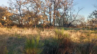 Rustic farm in Viandar de La Vera photo 18