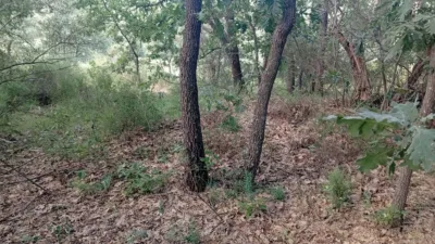 Finca rústica en Losar de La Vera photo 47