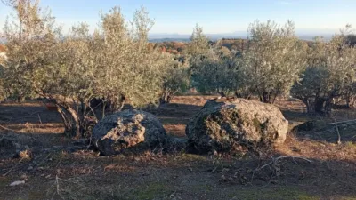 Rustic Finca in Villanueva de La Vera photo 25