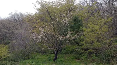 Rustic Finca in Valverde de La Vera photo 47