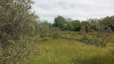Rustic finca in Villanueva de La Vera photo 66