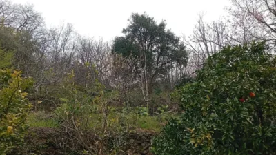 Rustic Finca in Valverde de La Vera photo 25