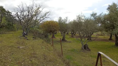 Finca rústica en Villanueva de La Vera photo 52