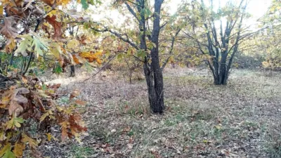 Rustic farm in Viandar de La Vera photo 8