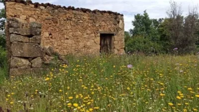 Rustic Finca in Villanueva de La Vera photo 2