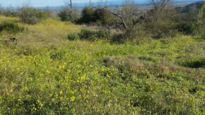 Rustic finca in Viandar de La Vera photo 19