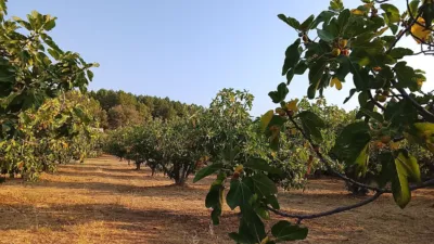 Rustic Finca in Madrigal de La Vera photo 2