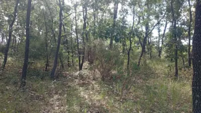 Rustic Finca in Losar de La Vera photo 4