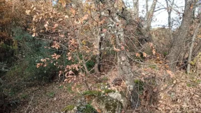 Rustic Finca in Viandar de La Vera photo 4