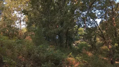 Rustic finca in Madrigal de La Vera photo 18
