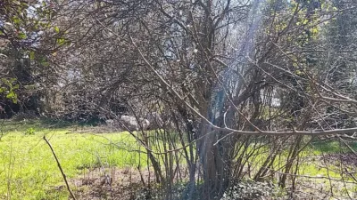 Rustic farm in Madrigal de La Vera photo 15