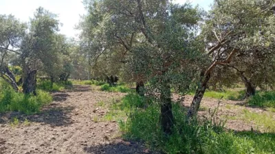Rustic Finca in Villanueva de La Vera photo 62