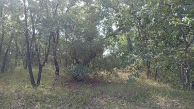 Finca rústica en Losar de La Vera photo 57