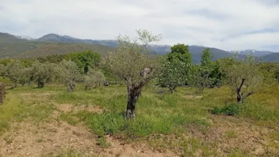 Rustic finca in Villanueva de La Vera photo 48