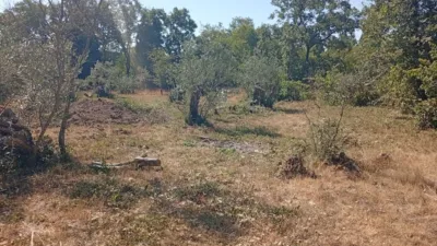 Rustic farm in Villanueva de La Vera photo 28