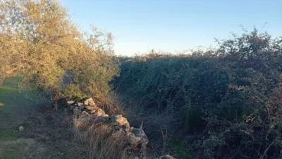 Rustic farm in Viandar de La Vera photo 28
