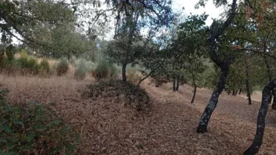 Rustic Finca in Villanueva de La Vera photo 104