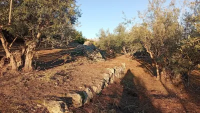 Rustic Finca in Villanueva de La Vera photo 55