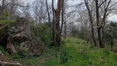Rustic Finca in Valverde de La Vera photo 103