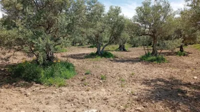 Rustic Finca in Villanueva de La Vera photo 35