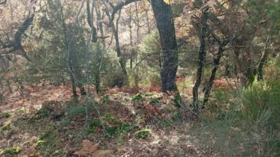 Rustic Finca in Villanueva de La Vera photo 3