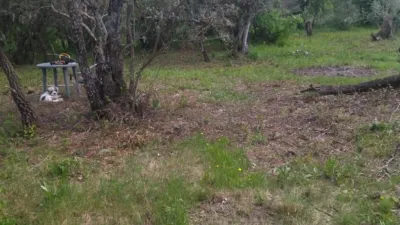 Rustic farm in Villanueva de La Vera photo 19