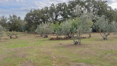 Rustic finca in Villanueva de La Vera photo 9