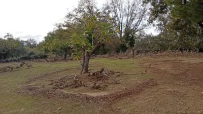 Rustic finca in Villanueva de La Vera photo 48