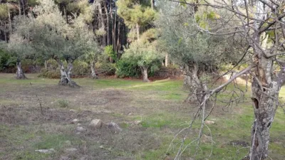 Rustic Finca in Villanueva de La Vera photo 18