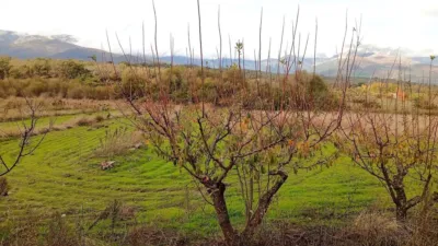 Rustic farm in Villanueva de La Vera photo 13