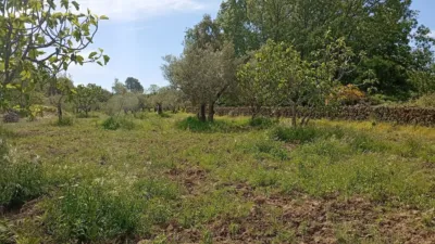Rustic finca in Villanueva de La Vera photo 32